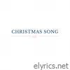 Hidden In Plain View - Christmas Song - Single