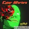 Cyber Warfare