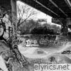 Skate Session - Single