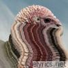 Bird Brains - EP