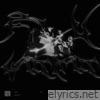 Fly With It - Single