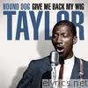 Hound Dog Taylor - Give Me Back My Wig