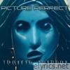 Picture Perfect - Single