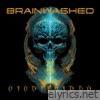 Brainwashed - Single