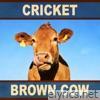 Foundations, Vol. 6 (Cricket Brown Cow)