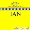 Big Yellow Taxi (A New York Buskers Tale) - EP