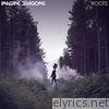 Imagine Dragons - Roots - Single