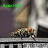 Radio Fly (The Singles) - EP