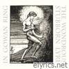 The Wondrous Stubborn Lyre - Single