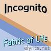 Fabric of Life (feat. Frank Josephs)