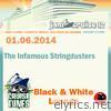 Jam Cruise 12: The Infamous Stringdusters - 1/6/2014