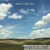 Wait for You - Single