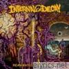 Internal Decay lyrics