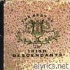 Irish Descendants - So Far So Good. The Best of The Irish Descendants