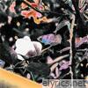 glimmer - Single