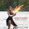 Burn It Down - Single