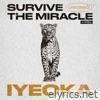 Survive The Miracle (Instrumental) - Single