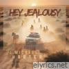 Hey Jealousy - Single