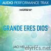 Grande eres Dios (Performance Trax) - EP