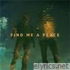 Find Me a Place - Single