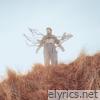 Higher (Alternate Version) - Single