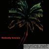 Nobody Knows - Single
