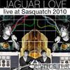 Live At Sasquatch 2010 (Live Nation Studios)