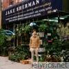 We Like Each Other In The Summer - Single