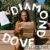 Diamond Dove - Single