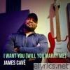 I Want You (Will You Marry Me) - Single