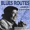 Blues Routes: James Cotton