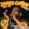James Cotton - Live from Chicago - Mr. Superharp Himself!