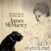 The Black Dog and the Wandering Boy