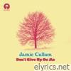 Jamie Cullum - Don't Give Up On Me - Single
