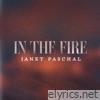 In The Fire - Single
