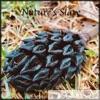 Nature's Slave - EP