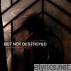 But Not Destroyed (2 Corinthians 4:7-12) - Single