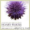 Hoary Plucks: Renaissance Lute Music on Guitar