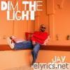 Dim The Light - Single
