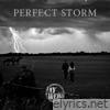 Perfect Storm - Single