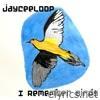 I Remember Birds - Single
