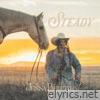 Steady - Single