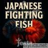 Japanese Fighting Fish - Single
