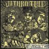 Jethro Tull - Stand Up (Remastered)