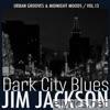 Dark City Blues, Vol. 13 - Urban Grooves & Midnight Moods