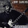 Jimmy Dawkins - Blues and Pain
