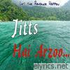 Hai Arzoo - Single