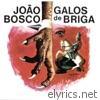 Joao Bosco - Galos De Briga