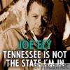 Tennessee Is Not the State I'm In - Single