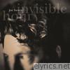 Joe Henry - Invisible Hour (Bonus Track Version)